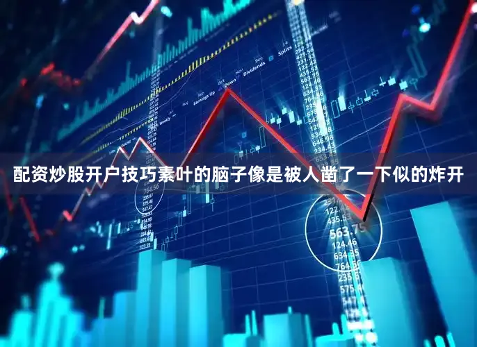 配资炒股开户技巧素叶的脑子像是被人凿了一下似的炸开