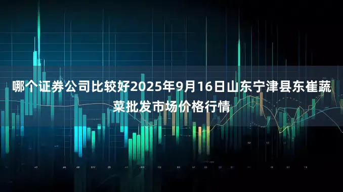 哪个证券公司比较好2025年9月16日山东宁津县东崔蔬菜批发市场价格行情